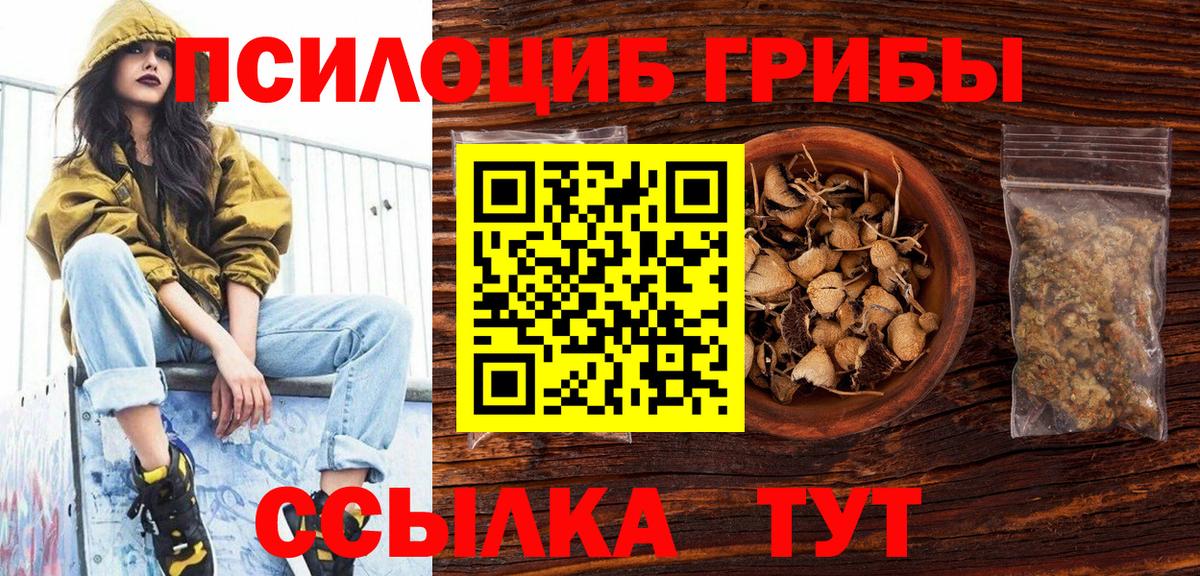 Галлюциногенные грибы MAGIC MUSHROOMS  Псилоцибиновые грибы Cubensis  Изобильный  Вход с VPN 